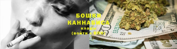 прущие грибы Карталы