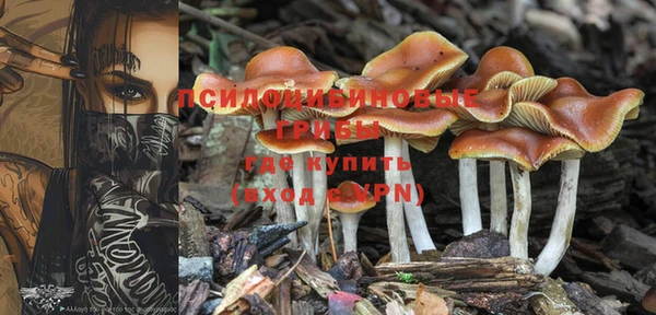 кокаин премиум Карпинск