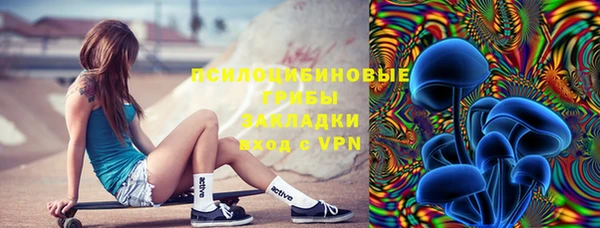 прущие грибы Карталы