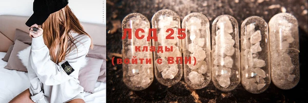 прущие грибы Карталы