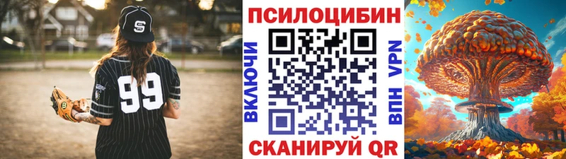 Псилоцибиновые грибы Cubensis  Купить где  Десногорск 